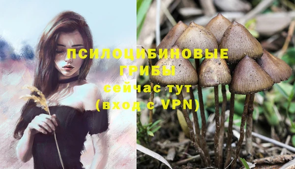 стафф Баксан